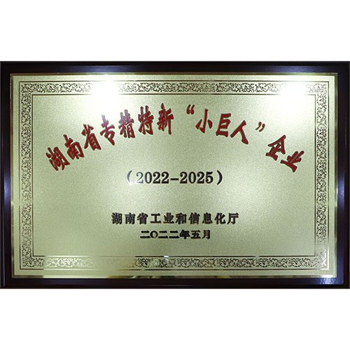 湖南省专精特新“小巨人”企业